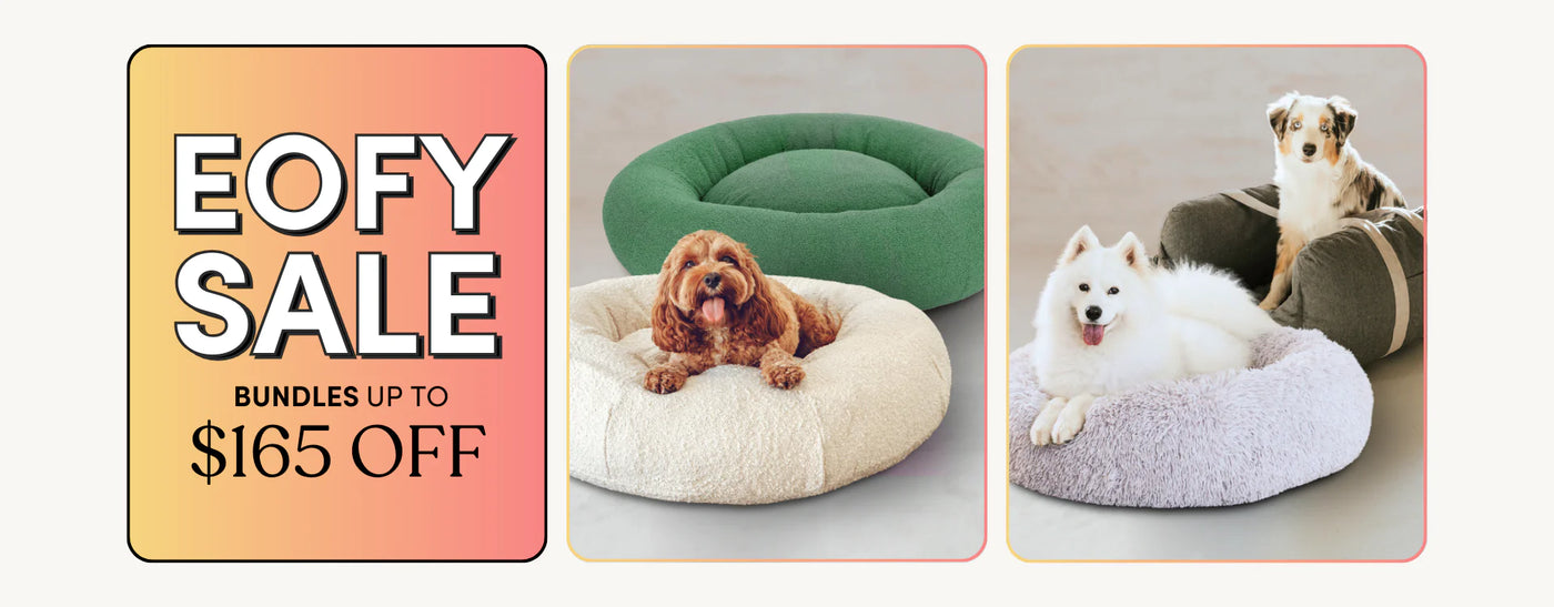 New Dog Beds