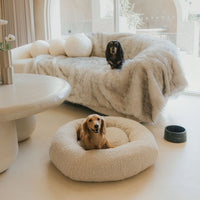 Bundle Image