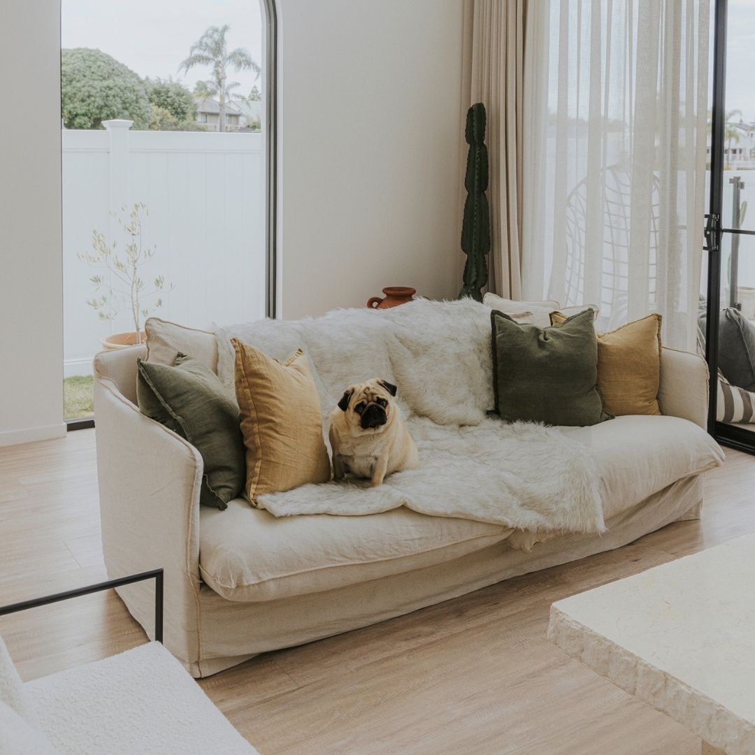 Calming Dog Bed Throw Bundle Sashbeds