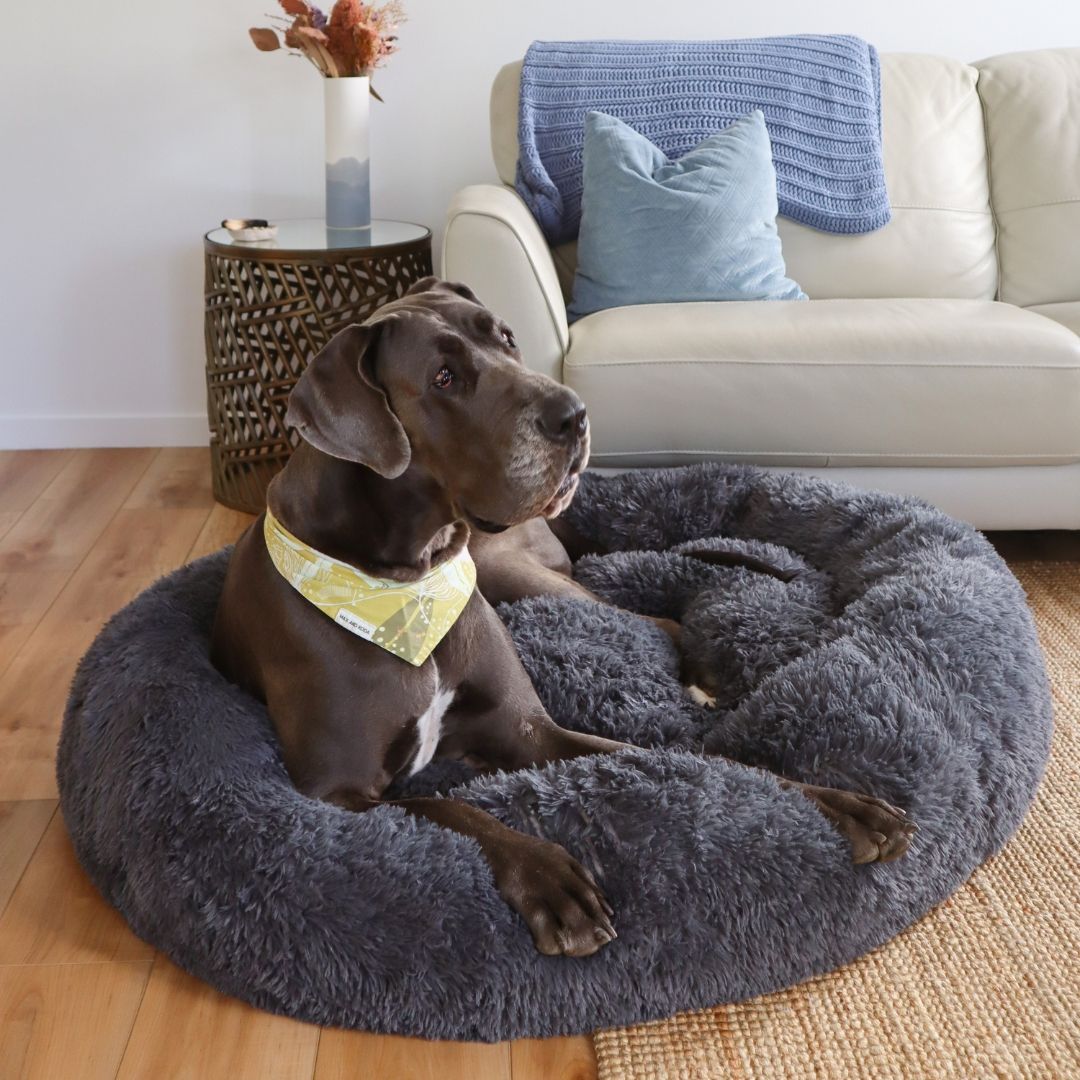 Calming Dog Bed Sashbeds