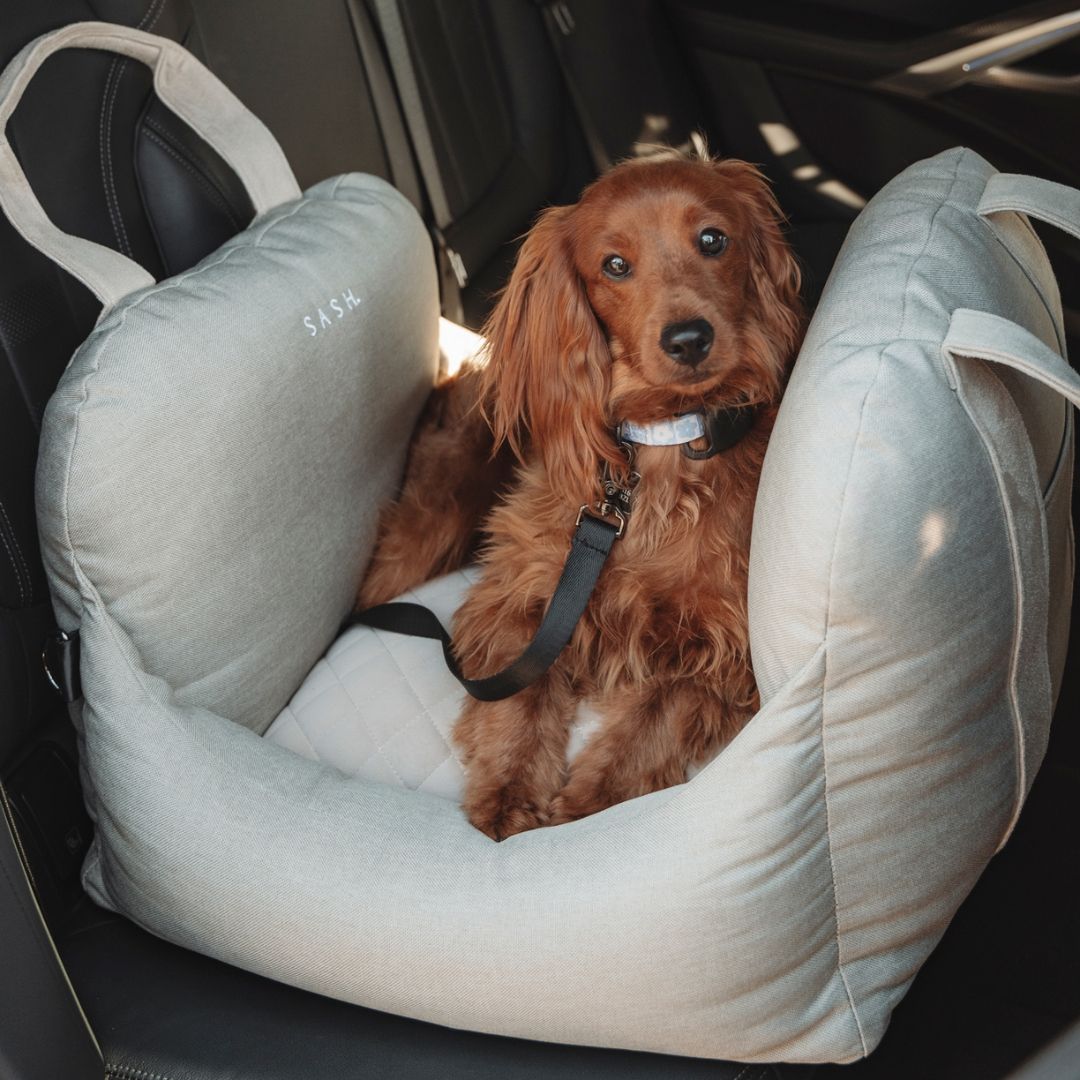 Angel bed car seat shop