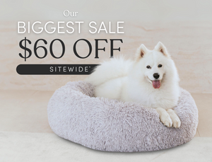 Bean bag dog beds sales sale