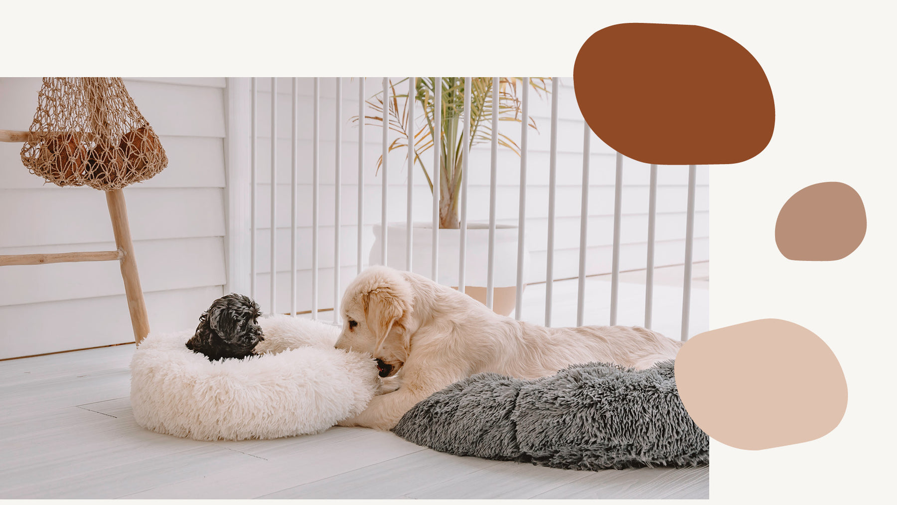 Calming pet deals bed canada