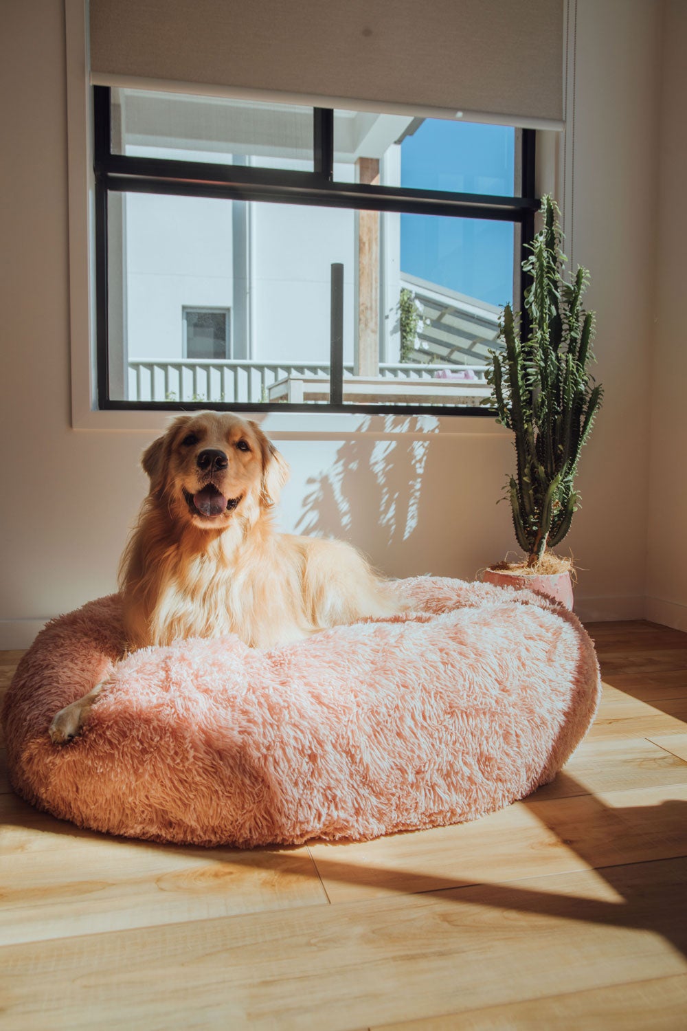 Abby space calming dog bed outlet